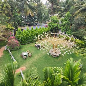 King Room Garden View